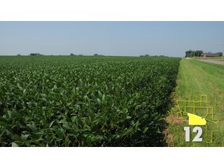 Property photo 43 - Land Auction - 3,379 Acres in 48 Tracts, 2,900 Acres Tillable, Large Contiguous Tracts - Investment Potential